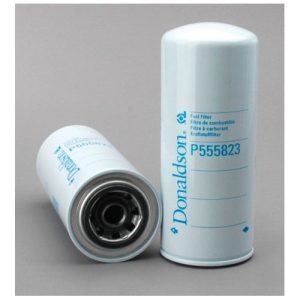 P555823