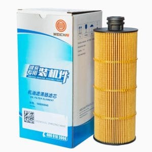 Lọc 1002003545 Weichai