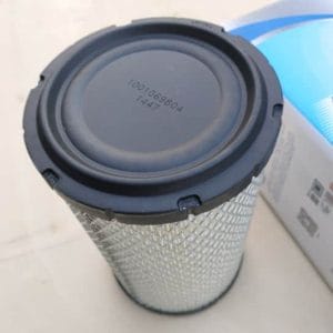 Lọc gió động cơ 1001069804